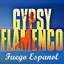 Gypsy Flamenco Albumcover