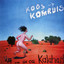 Ver van Die ou Kalahari Albumcover