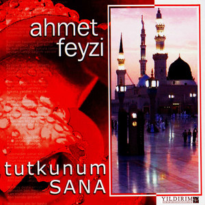 Ahmet Feyzi