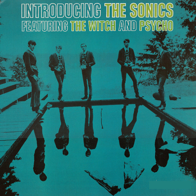 Introducing The Sonics cover