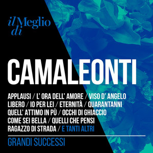 Il meglio di Camaleonti - grandi successi cover