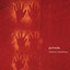 Amok cover