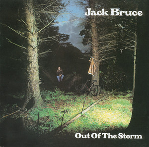 Into The Storm (Remaster) album
