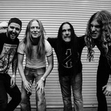 Carcass Photo
