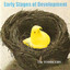 Early Stages of Development Albumcover