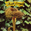 Robbin's Nest cover