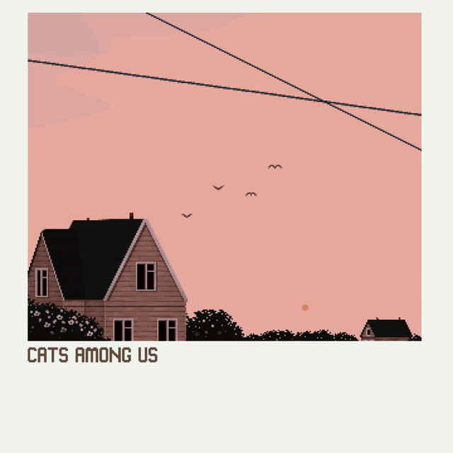 Cats Among Us Photo