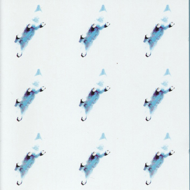 Aural Expansion Photo
