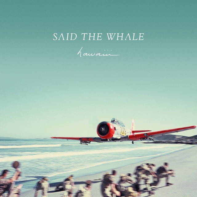 Hawaiii cover