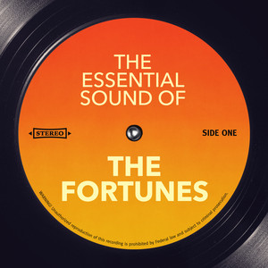 The Essential Sound of album