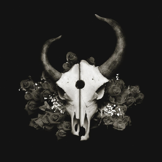 Summer Of Darkness cover