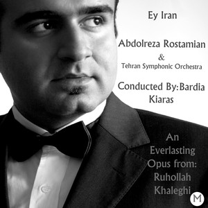 Abdolreza Rostamian