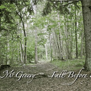 Fall Before Flight Albumcover