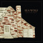 Leaves in the River cover