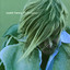 Birthmarks cover