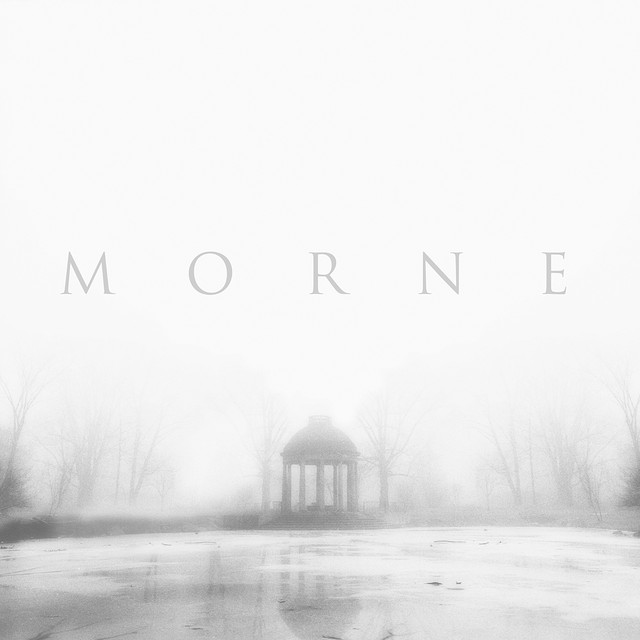 Asylum cover