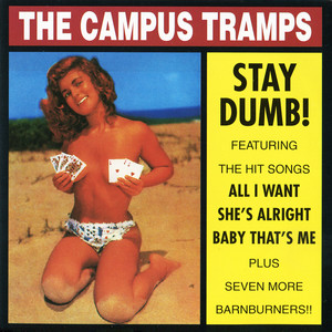 Stay Dumb! cover