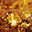 Fell & Found cover