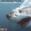 THE GREAT WHITE SHARK SONG & UNDERWATER MUSIC VIDEO Albumcover