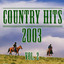 Country Hits 2003 Vol.2 Albumcover