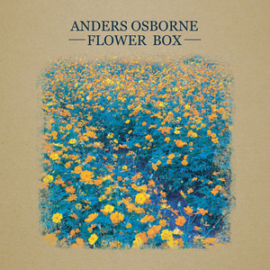 Flower Box album