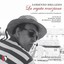 La regata veneziana, canzoni e ariette in dialetto veneziano Albumcover