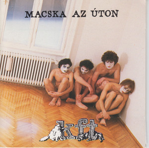 Macska az úton cover