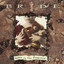 Snakes in the Playground cover