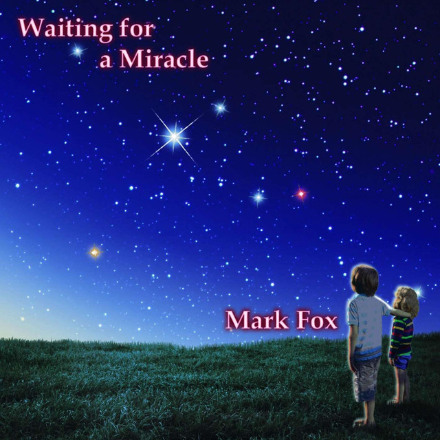 Mark Fox Photo