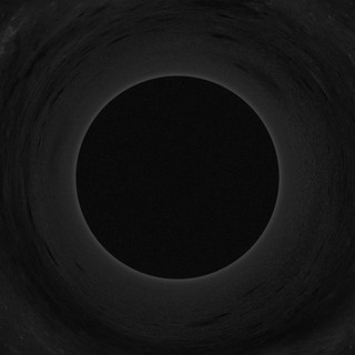 Crow Black Sky Photo