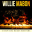Essential Blues Masters cover