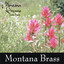Montana Dreams Albumcover