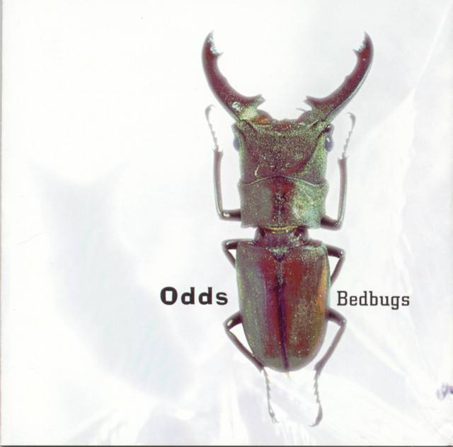 Bedbugs cover