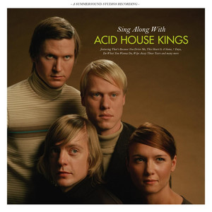 Sing Along With Acid House Kings album