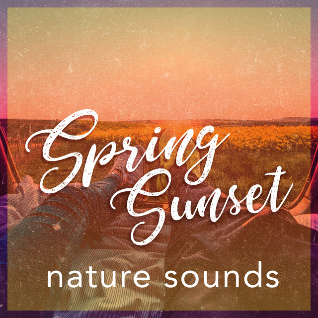 Spring Sunset Nature Sounds