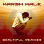 Beautiful Remixes cover