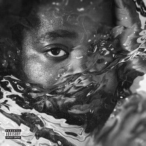 Surfacing cover