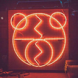 The 2 Bears Photo