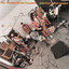 Electric Bird Digest cover