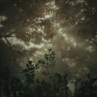Aviino Photo