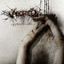 Strychnine.213 cover