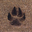 Dog Tracks Albumcover