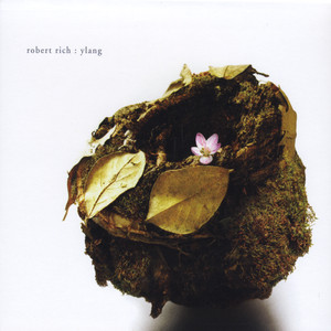 Ylang cover
