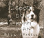 Good Dog, Happy Man cover