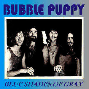 Blue Shades of Gray album