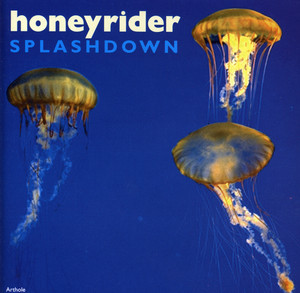 Splashdown cover