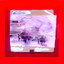 Niceland cover