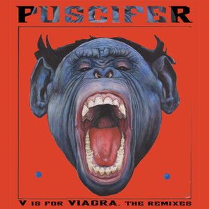 "V" Is for Viagra, the Vagina Remixes album