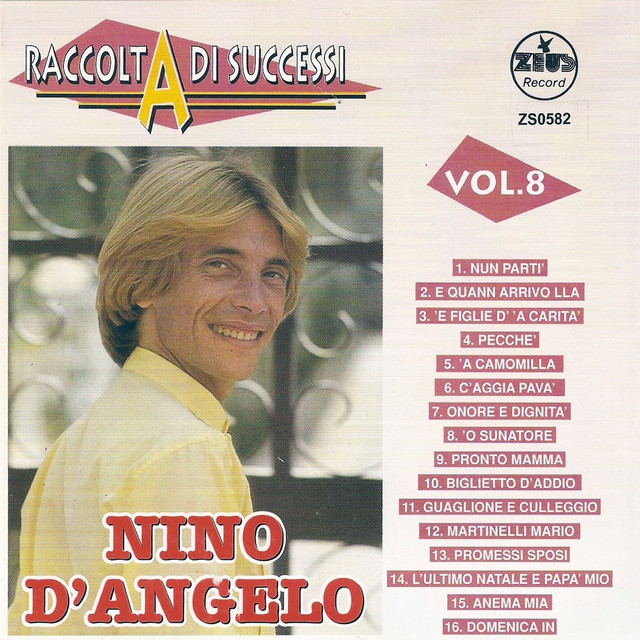 Raccolta di successi, vol. 8 (The Best of Nino D'Angelo Collection) Albumcover
