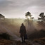 A New Nature cover